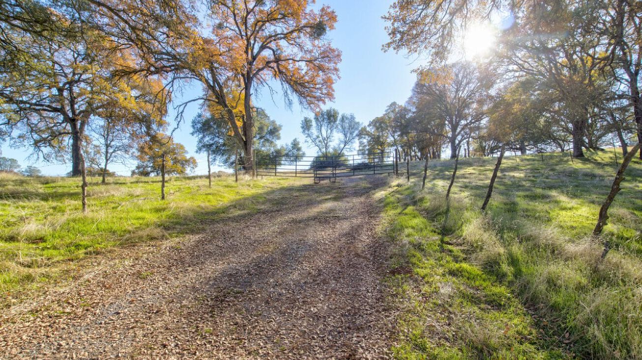 Carbondale Rd, Ione, CA 95640