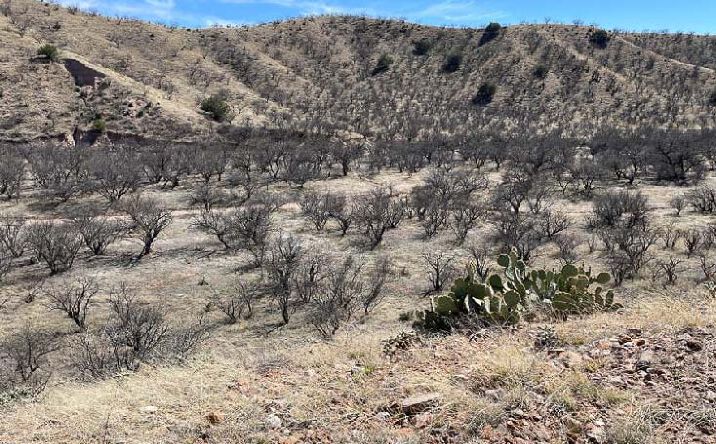 Pictures of Land property located at Tbd Sonoita Creek Ranch Rd #15, Rio Rico, AZ 85648 for sales - image #1