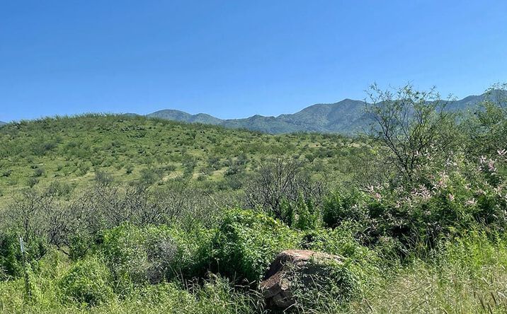 Pictures of Land property located at TBD Tejano Spring Rd 79, Rio Rico, AZ 85648 for sales - image #1