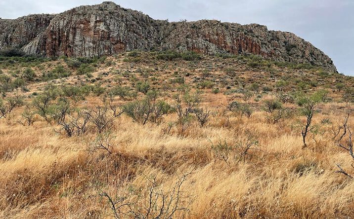 Pictures of Land property located at Tbd Stone Ct #77, Rio Rico, AZ 85648 for sales - image #1