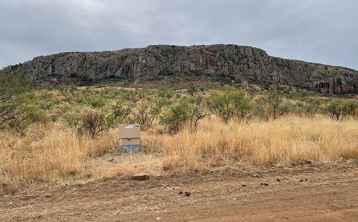 Pictures of Land property located at Tejano Spring Rd, Rio Rico, AZ 85648 for sales - image #1