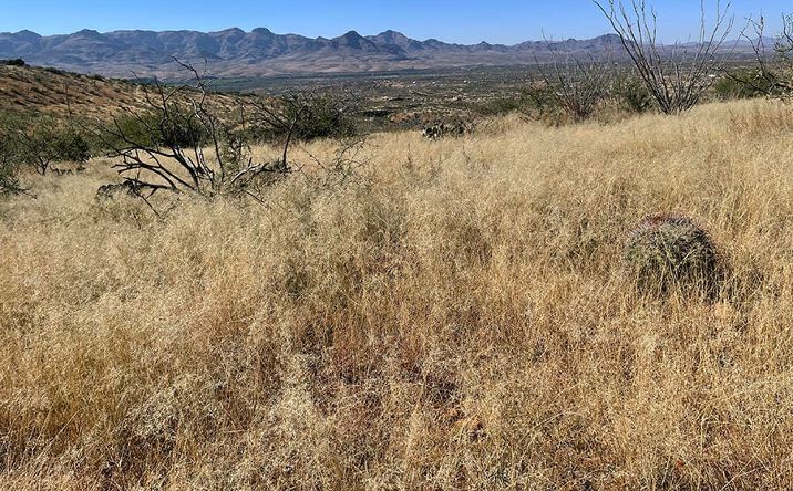 Pictures of Land property located at 394 Esponja Ct, Rio Rico, AZ 85648 for sales - image #1