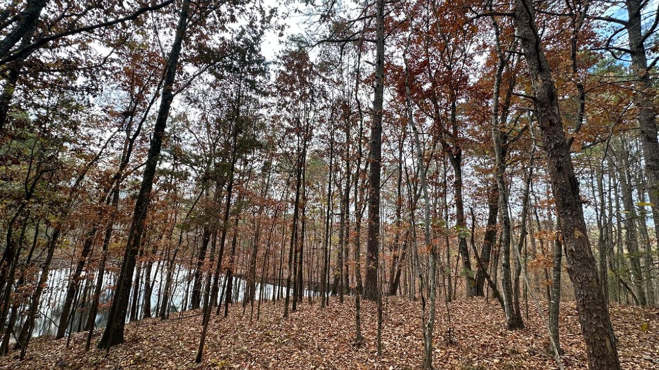 000 Frankfort Rd, Littleville, AL 35653