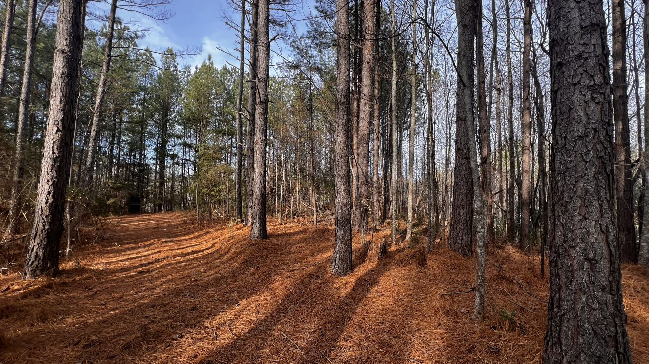 Noah Hayes Rd, State Rd, NC 28676