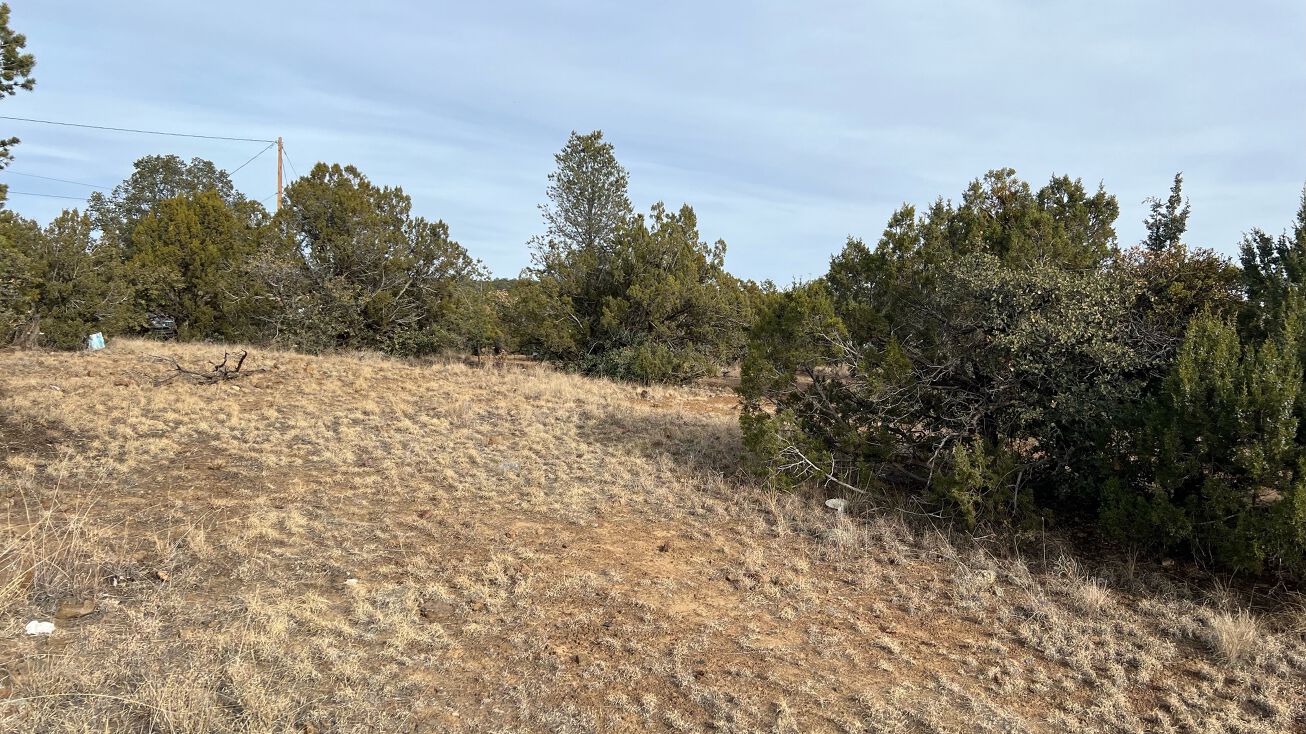 2820 Pinos Altos Rd, Silver City, NM 88061