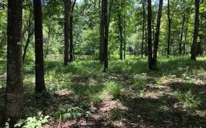 Pictures of Land, Special Purpose property located at Brinson Pl, Lowndsboro, AL 36752 for sales - image #1
