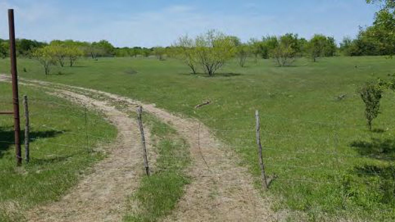 85.5 AC, Hwy 56, Southmayd, TX 76268