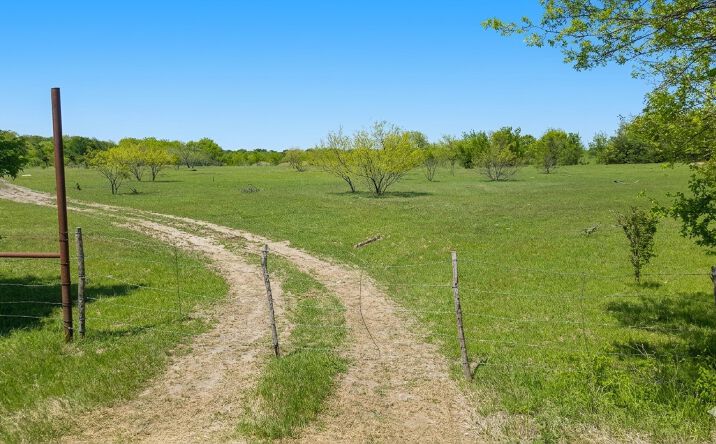 Pictures of Land property located at 85.5 AC, Hwy 56, Southmayd, TX 76268 for sales - image #1