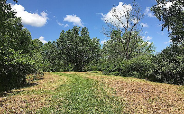 image of property at 1599 JOHNS CREEK RD Crown City OH 45623-9391