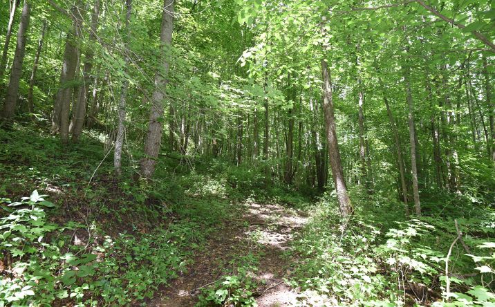 Pictures of Land property located at 23769 State Route 327, Laurelville, OH 43135 for sales - image #1