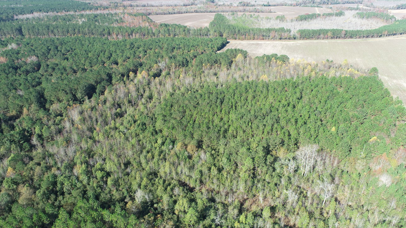 0 Union Church Road, Hiltonia, GA 30467