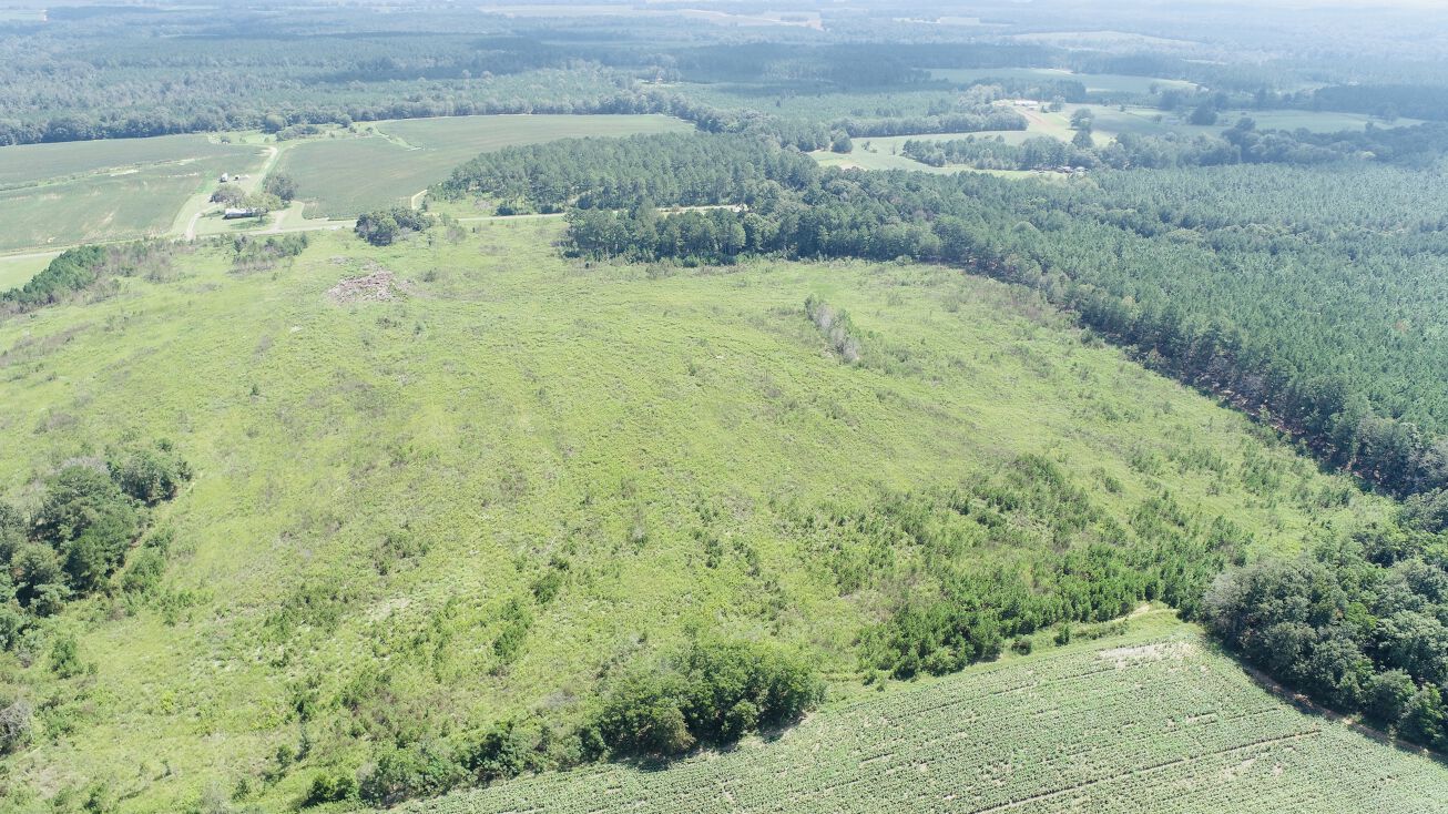 0 Mims Road, Byromville, GA 31007