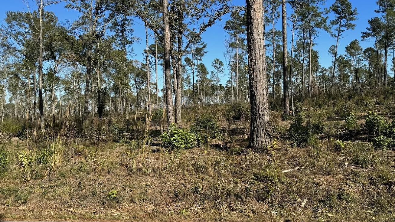 Tract4 Lower Simmons Rd, Macon, GA 31220