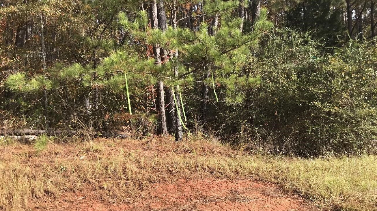 Lower Simmons Rd, Macon, GA 31220