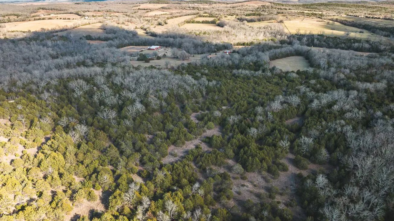 Hoosier Road, Protem, MO 65733