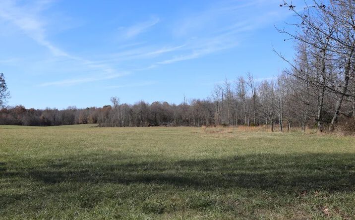 Pictures of Land property located at US 160, Harviell, MO 63945 for sales - image #1
