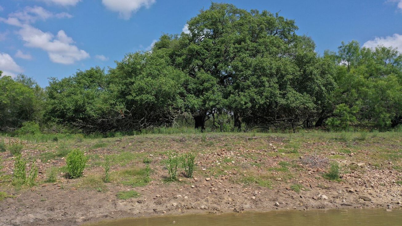 396+/ acres Quihi Oaks Ranch, Medina County, CR 265, Hondo, TX 78861