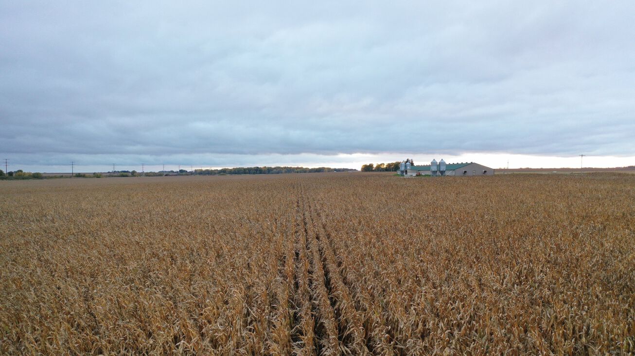 E. Bennington Rd & N. Raymond Rd, Dunkerton, IA 50626