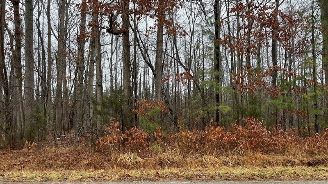 Doswell Town Rd, Meherrin, VA 23954