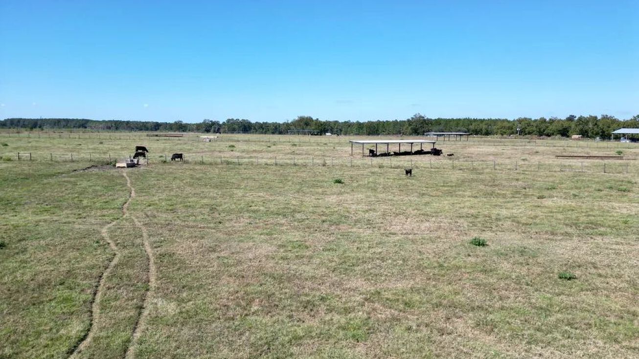 Whigham Rd, Whigham, GA 39897