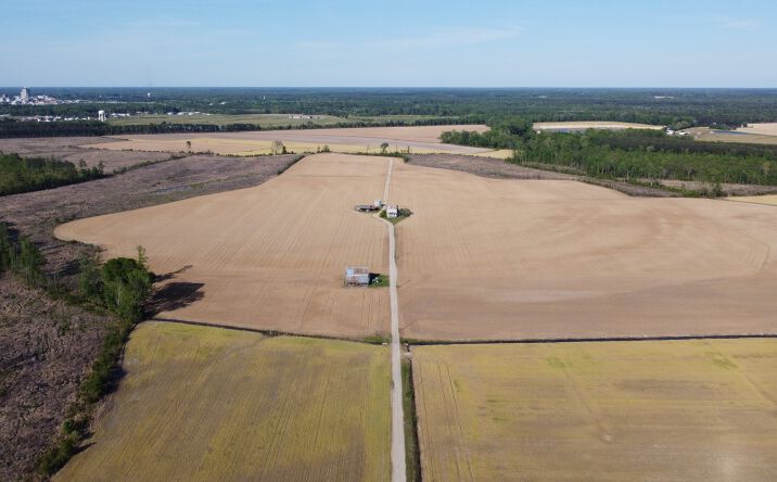 Pictures of Land property located at 26271 Smiths Ferry Rd, Franklin, VA 23851 for sales - image #1