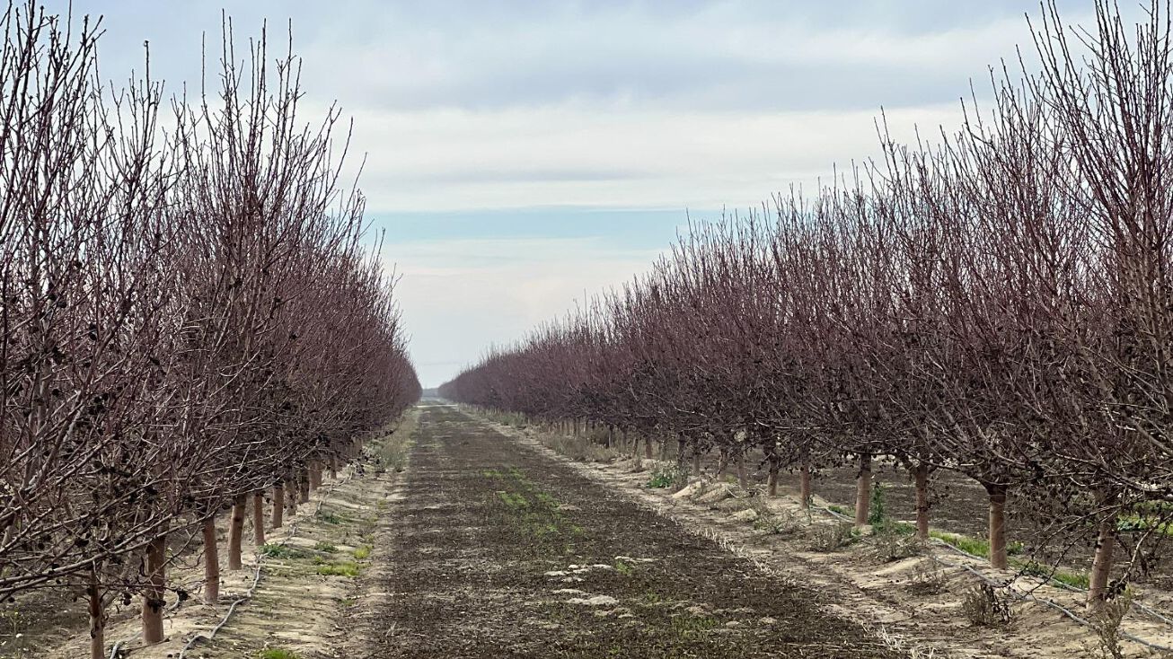 1 S Jensen Ave, Kerman, CA 93630