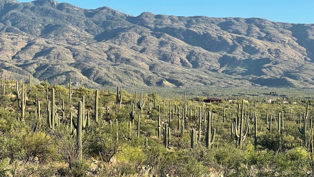 3051 Placita De Nazca, Tucson, AZ 85749