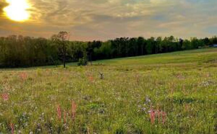 Pictures of Land property located at 19.09acres Reeves Street, Aiken, SC 29805 for sales - image #1