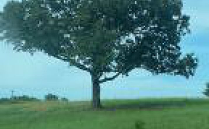 Pictures of Land property located at 22.43acres Reeves Street, Aiken, SC 29805 for sales - image #1