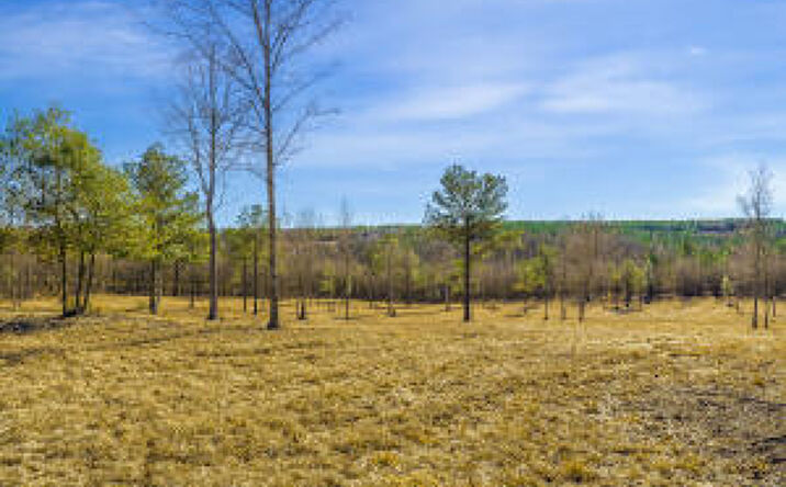 Pictures of Land property located at 13.06acres Reeves Street, Aiken, SC 29805 for sales - image #1