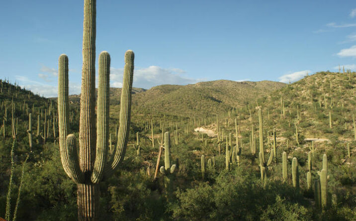 Pictures of Land property located at 13665 Placita Del Inca, Tucson, AZ 85749 for sales - image #1