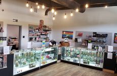 14542764