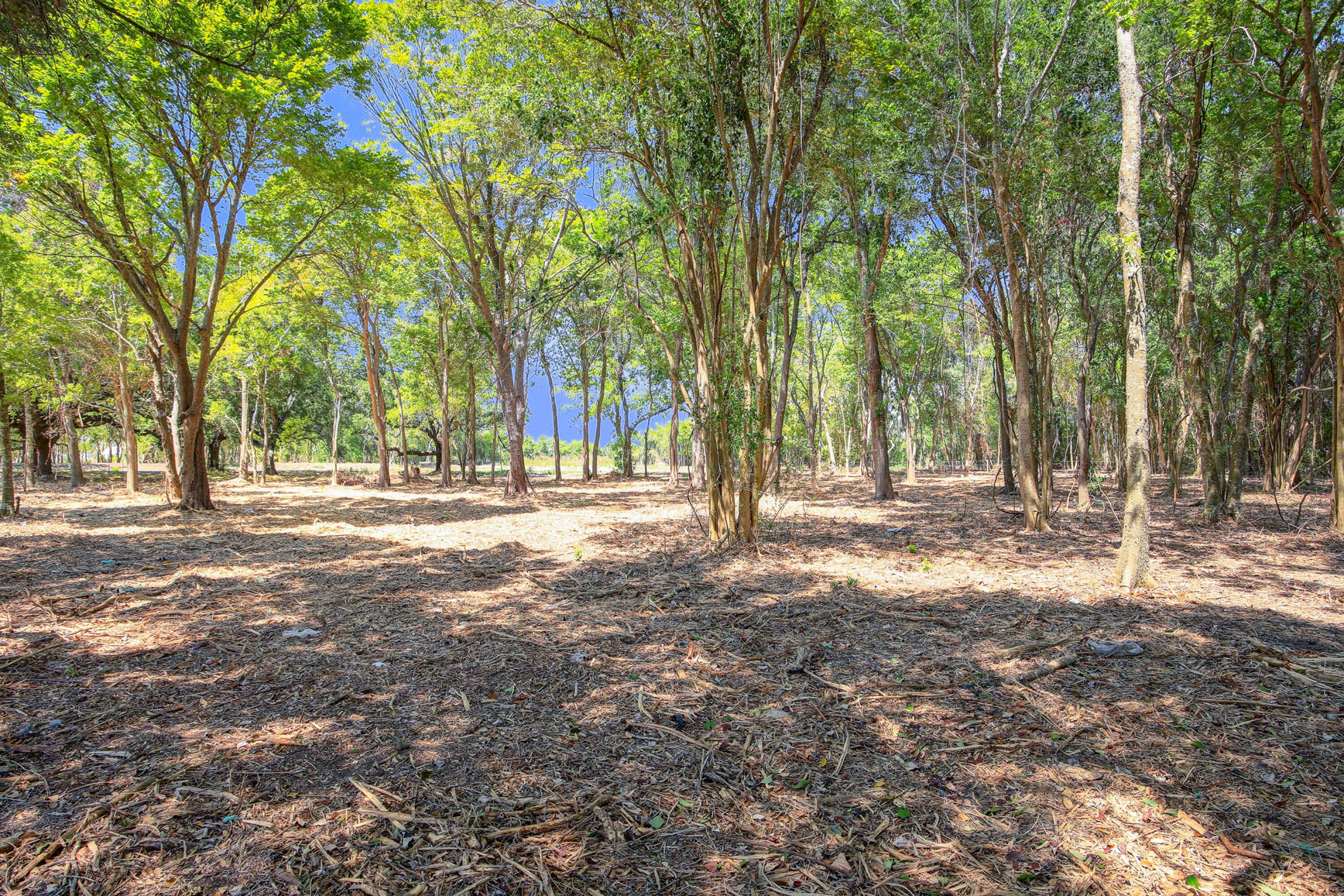 17827 S HWY 35, PEARLAND, TX 77581