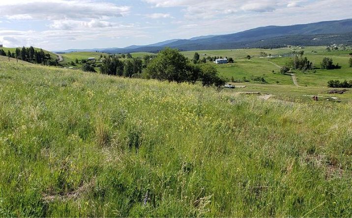 Pictures of Land property located at 180 Grassy Loop, Eureka, MT 59917 for sales - image #1