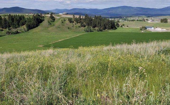 Pictures of Land property located at 138 Grassy Loop, Eureka, MT 59917 for sales - image #1