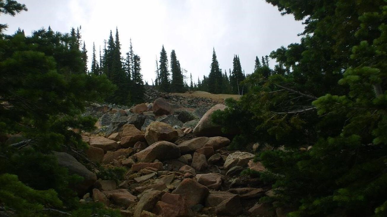 ME Spotted Horse ME, Neihart, MT 59465