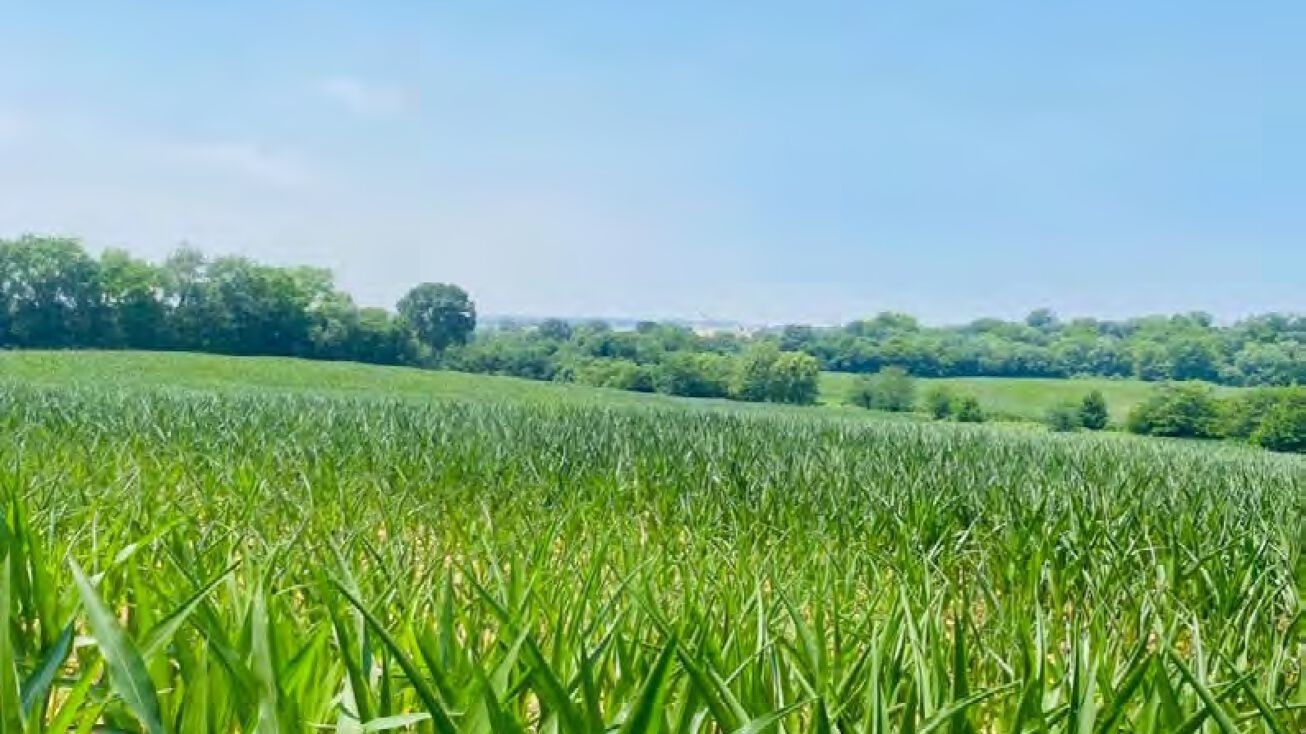 530 Branham Mill Rd, Gallatin, TN 37066