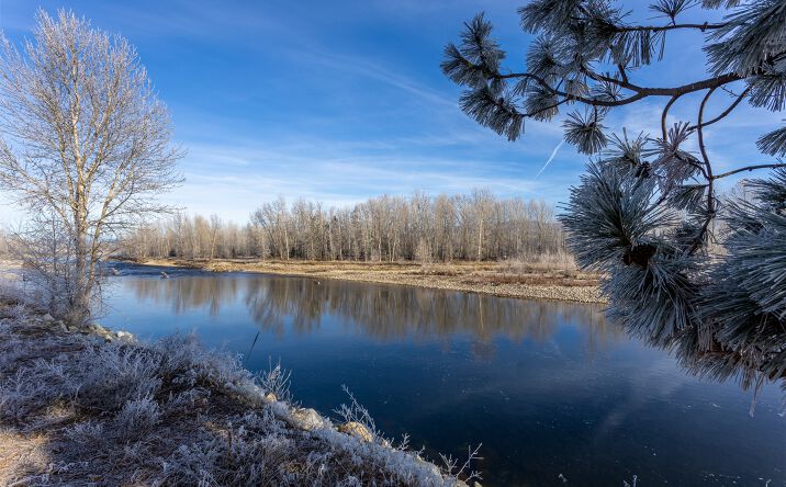 Pictures of Land property located at 38 Ol Fogie Trail, Victor, MT 59875 for sales - image #1