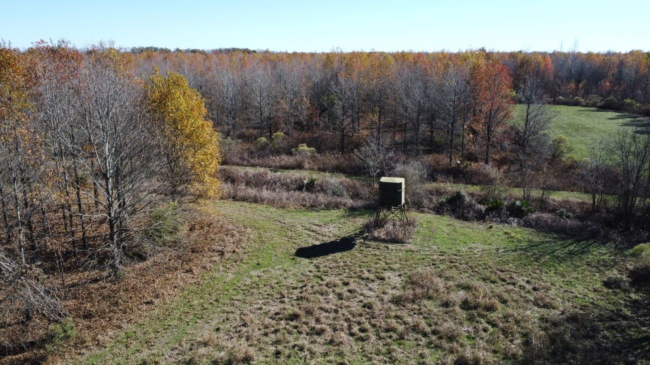 451± Acres, Tallulah, LA 71282