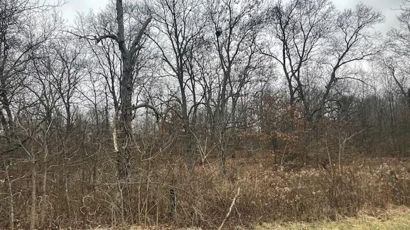 0 Mitchell Lane, Ostrander, OH 43061