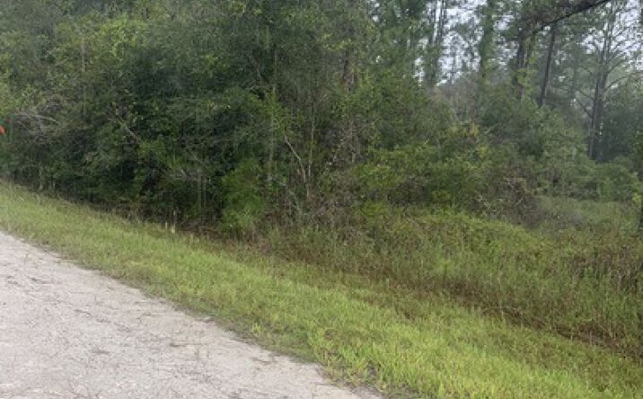 Pictures of Land property located at Otter Dr, Lot 44 Webster, Fl, Webster, FL 33597 for sales - image #1