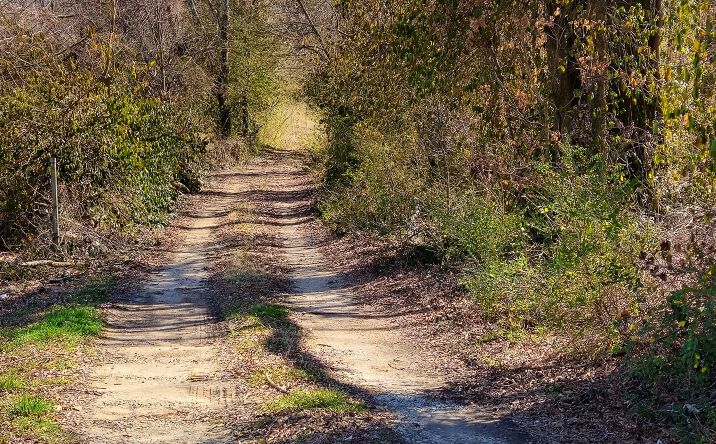 Pictures of Land property located at 4836 Lillie Ln, Ooltewah, TN 37363 for sales - image #1