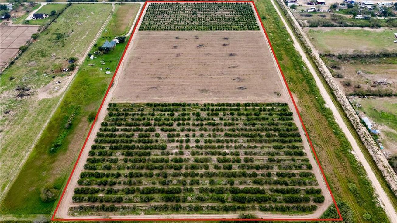 1107 W Davis Road, Edinburg, TX 78541