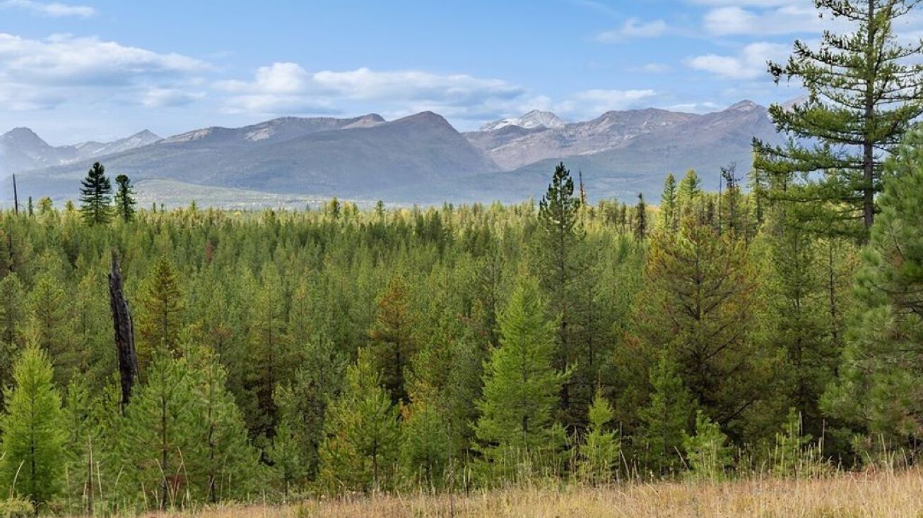 645 GlacierElk Road, Condon, MT 59826