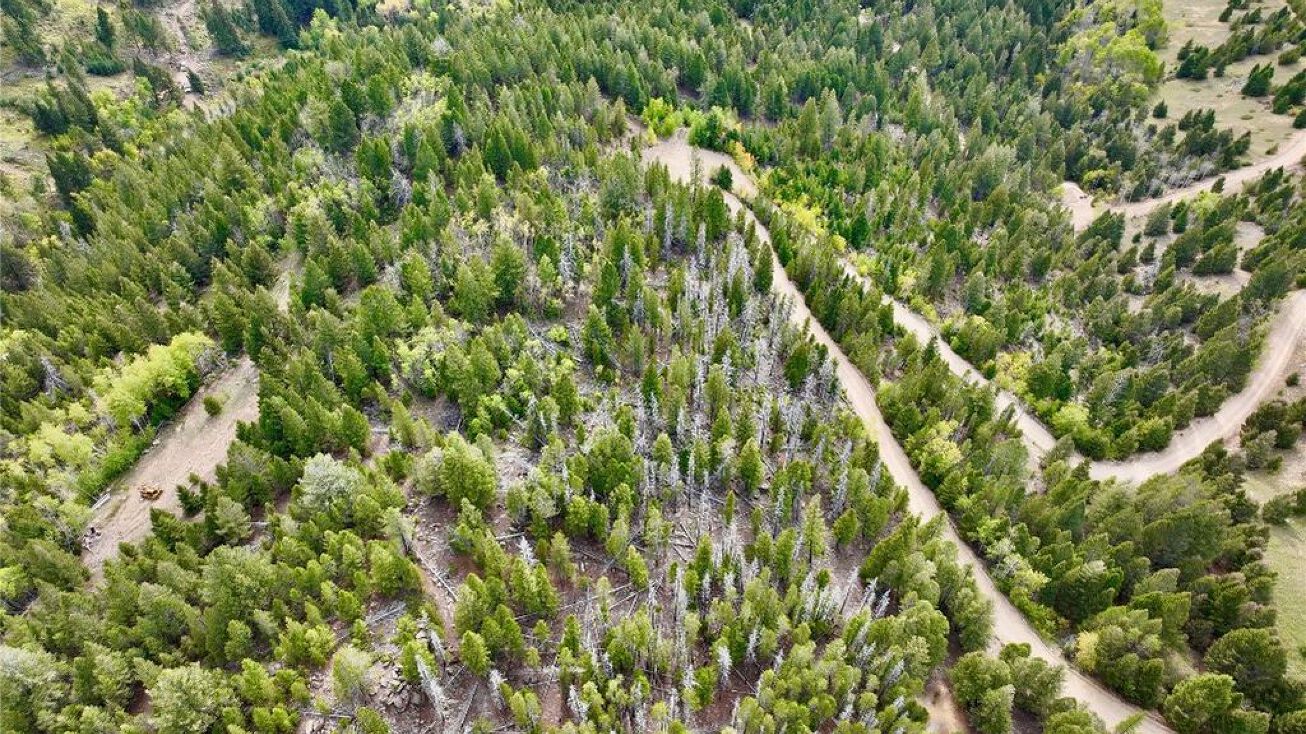 LOT 32 Heights Road, Butte, MT 59701