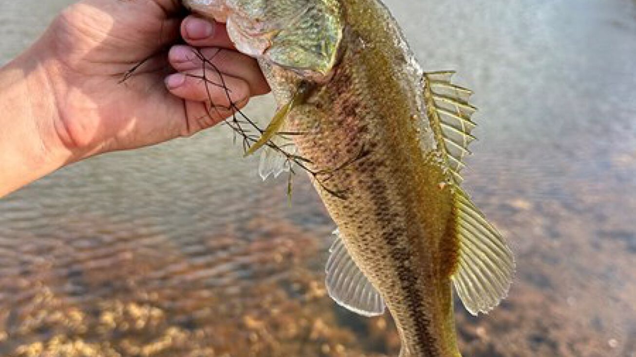 336783 E 750 Rd, Tryon, OK 74875