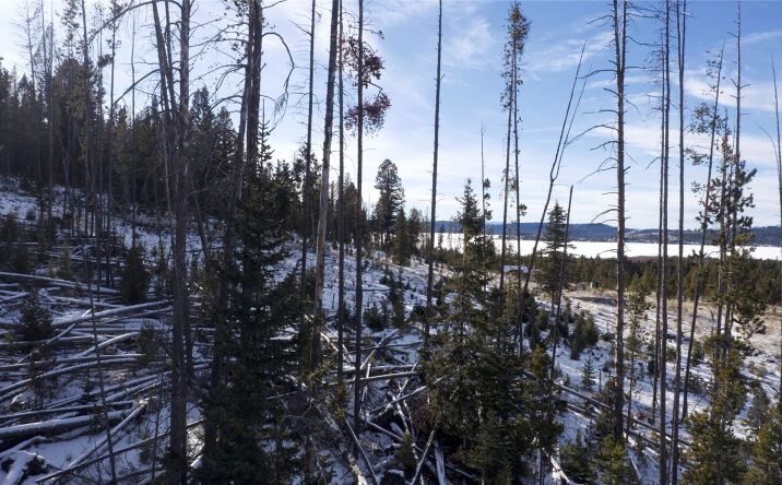 Pictures of Land property located at Lot 38 Mountain View Estates, Anaconda, MT 59711 for sales - image #1