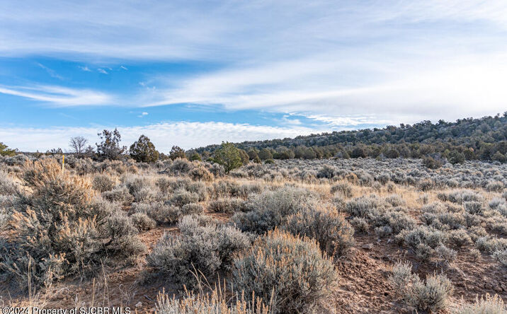 XX ROAD 4000, Middle Mesa, NM 81137 | Crexi.com