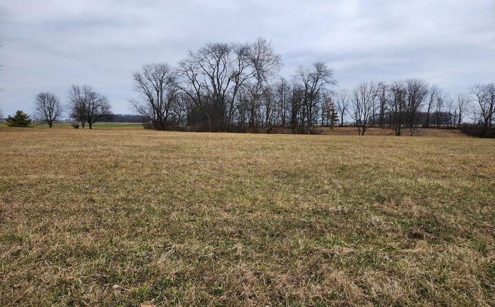 Pictures of Land property located at 0 Finley Guy Road, Plain City, OH 43064 for sales - image #1