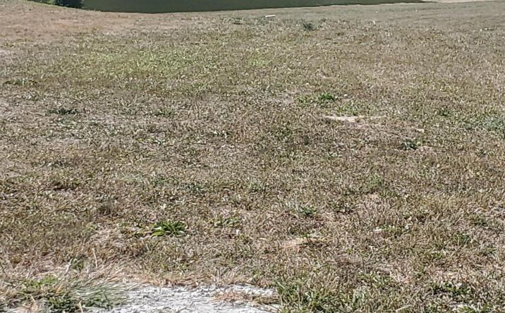 Pictures of Land property located at 10119 Biscayne Court, Plain City, OH 43064 for sales - image #1